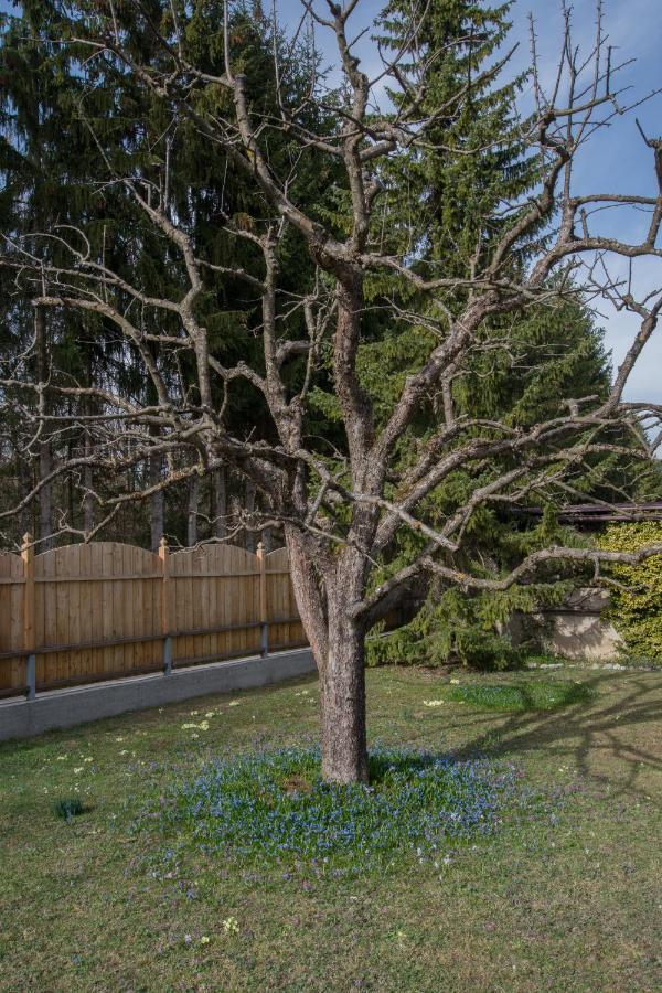 Garten Appartement Harmony Finkenstein am Faaker See 외부 사진